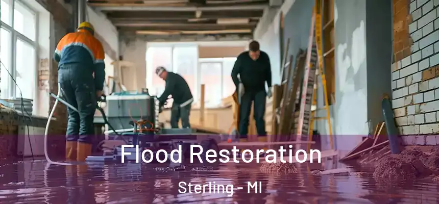  Flood Restoration Sterling - MI