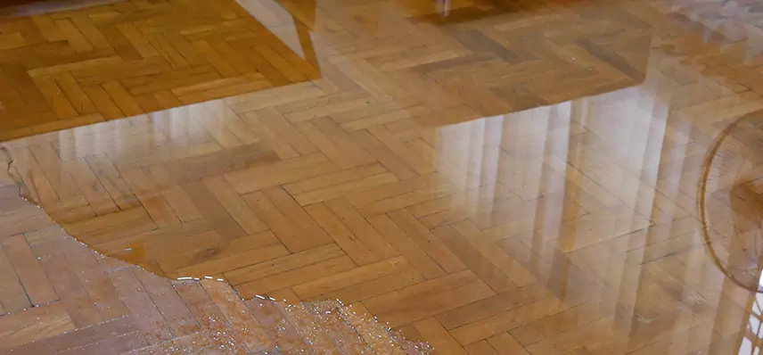Laminate Wood Floor Water Damage Repair in Sterling