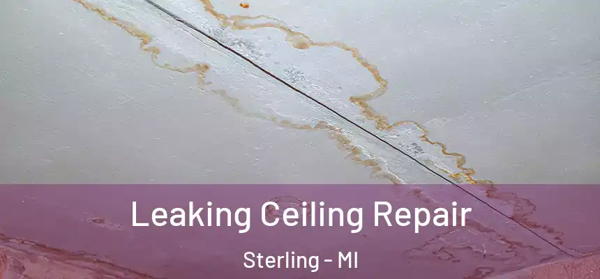  Leaking Ceiling Repair Sterling - MI