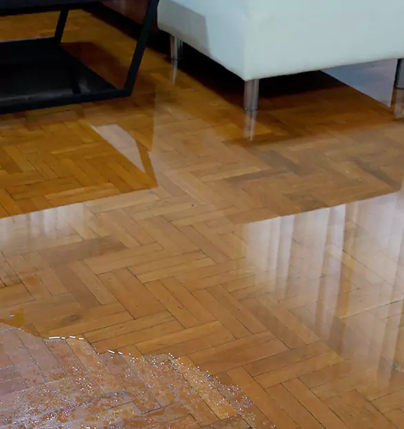 Trusted Emergency Water Restoration Company in Sterling, MI