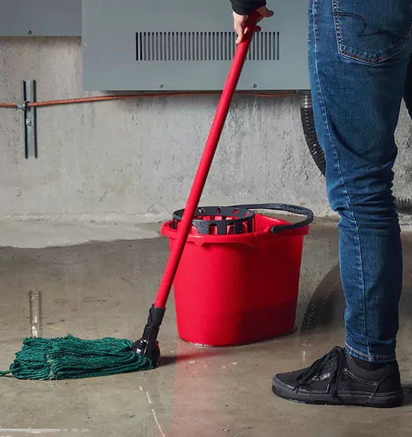 Trusted Sewage Cleanup Company in Sterling, MI