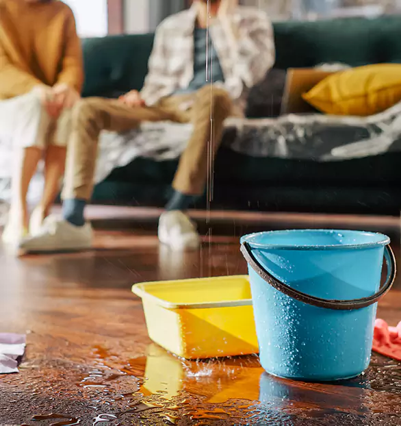 Trusted Water Remediation Company in Sterling, MI