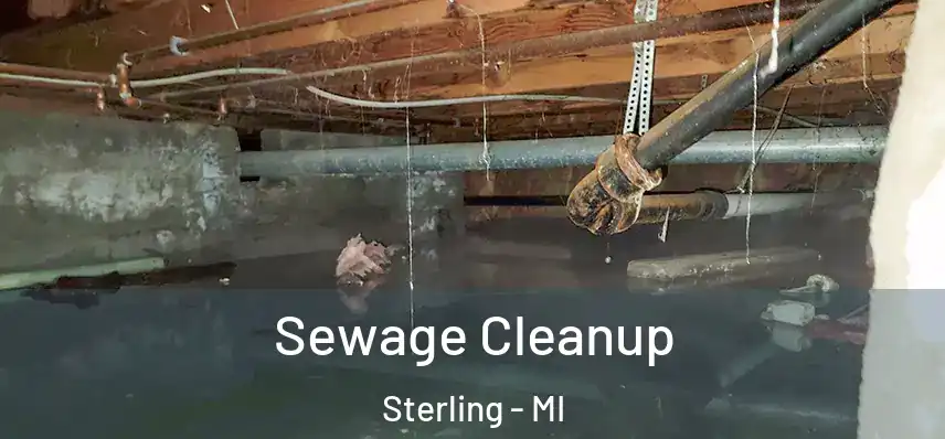  Sewage Cleanup Sterling - MI