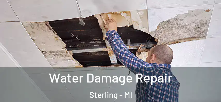  Water Damage Repair Sterling - MI