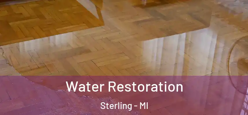  Water Restoration Sterling - MI